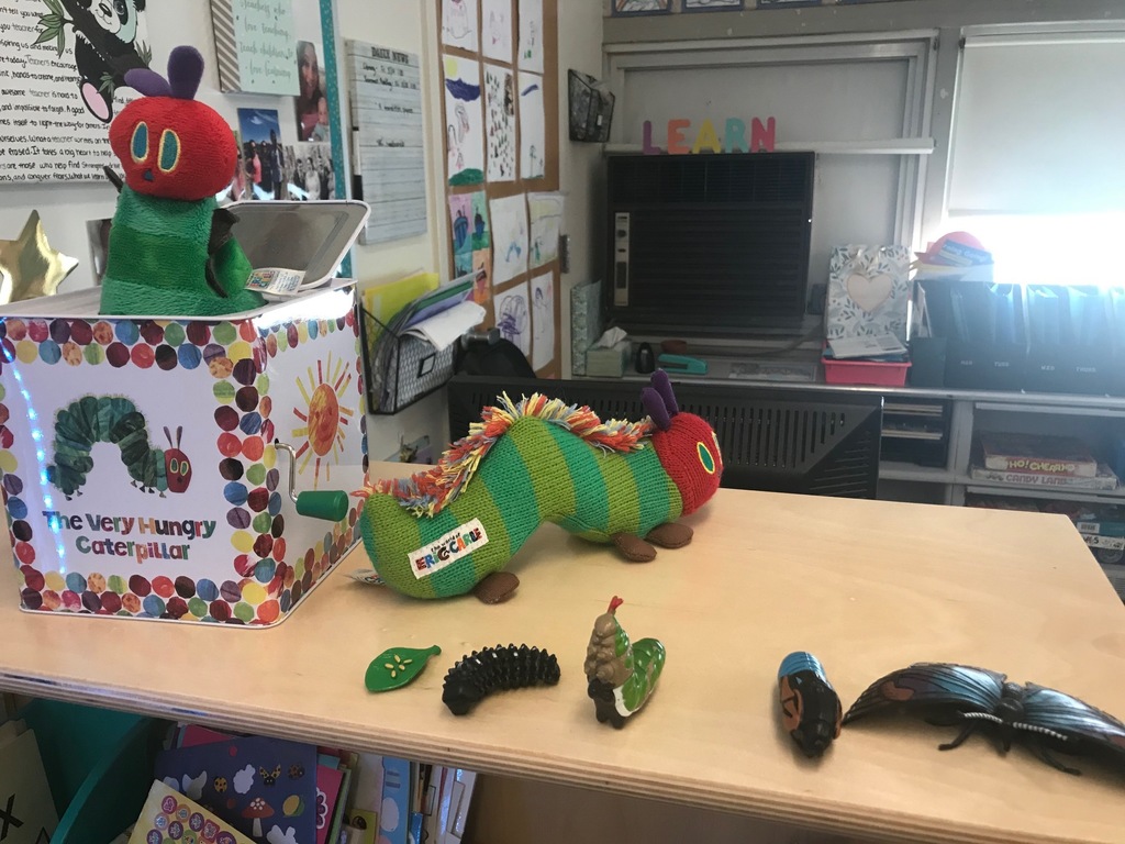 The very hungry caterpillar pop up toy