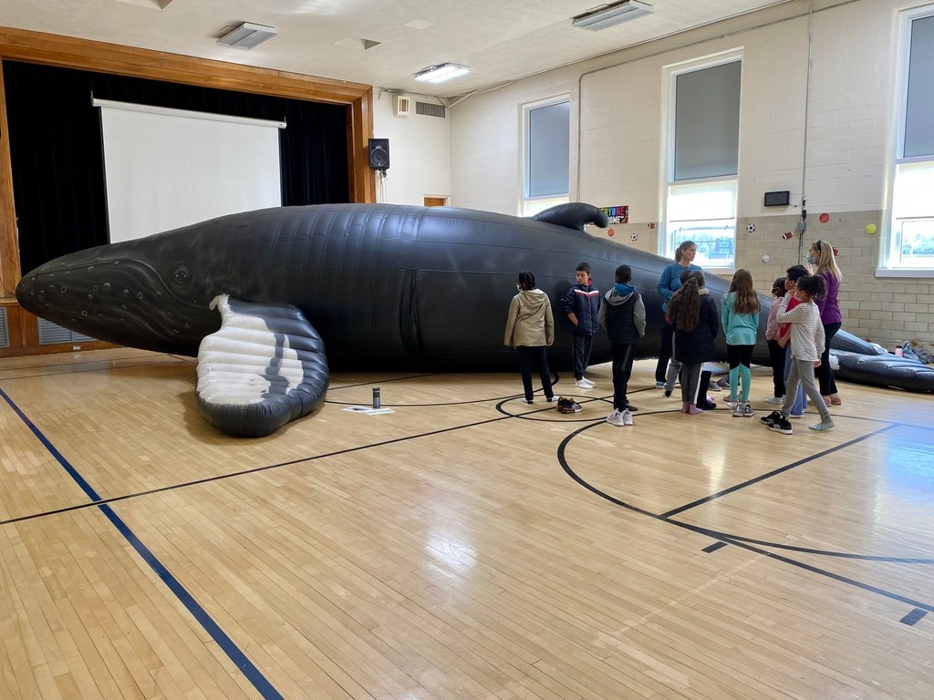 The Whalemobile visits the Wilkins School