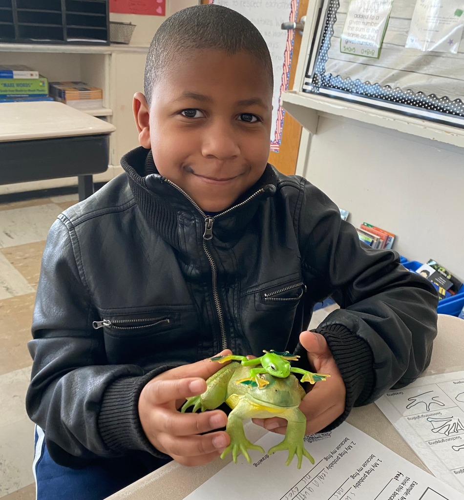 Wilkins School third graders learning about frogs
