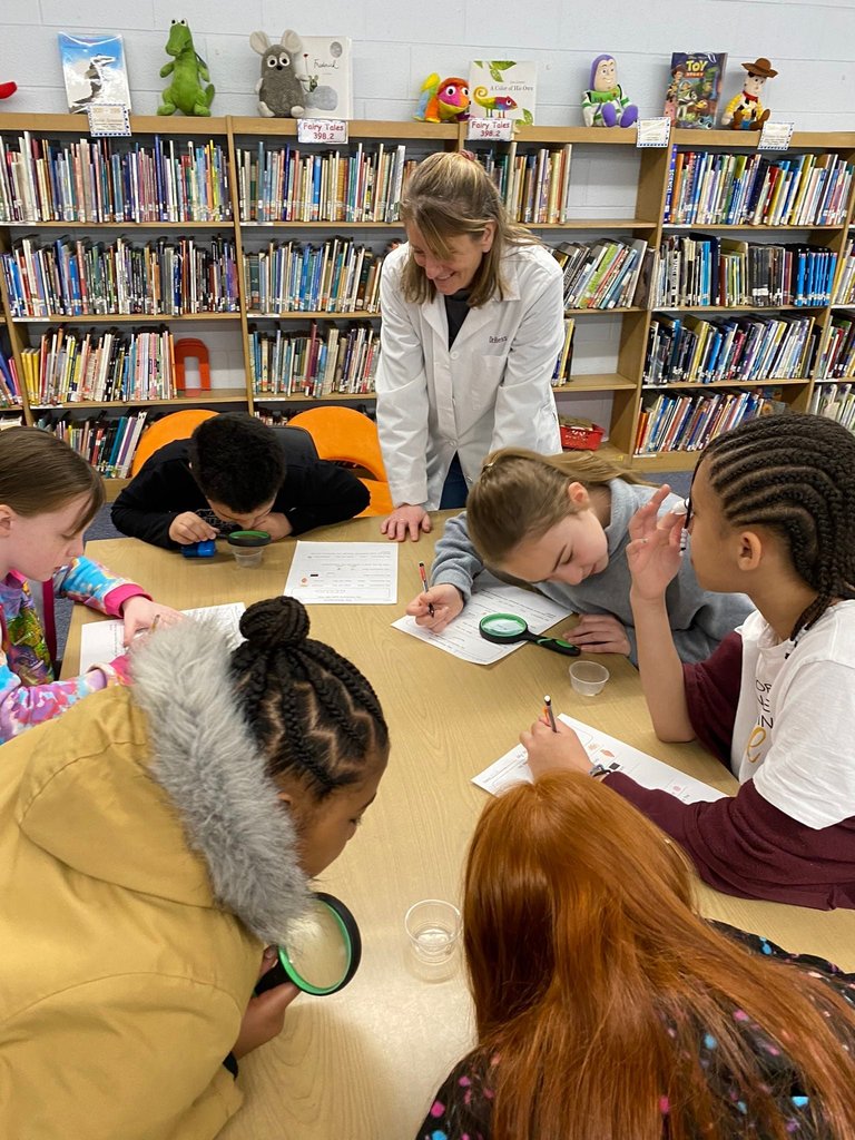 Gibbons students learning about the life cycle of mealworms.
