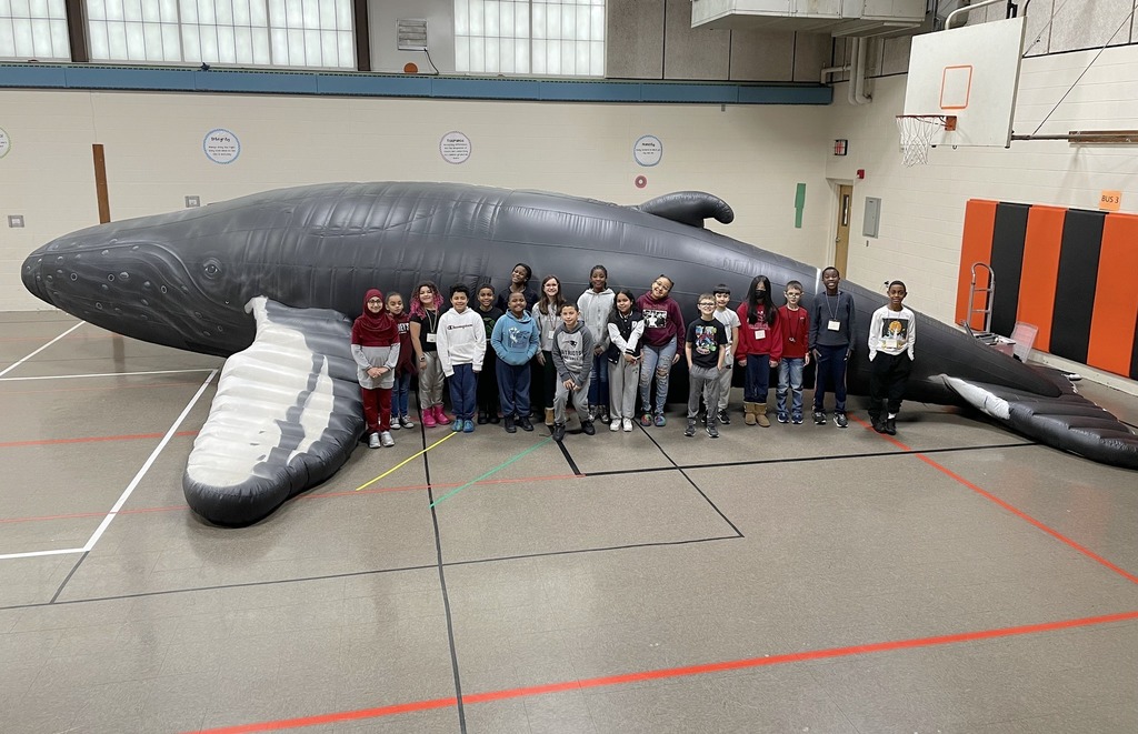 Whalemobile visits the Dawe School