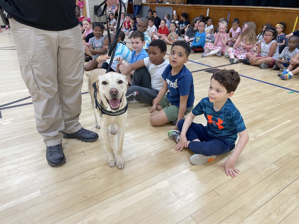 Students at the Wilkins School enjoyed their visit with Eddie, the Norfolk County Sheriff’s Office comfort therapy dog!
