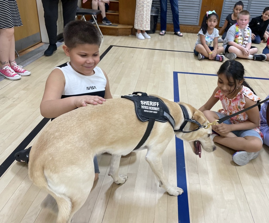 Students at the Wilkins School enjoyed their visit with Eddie, the Norfolk County Sheriff’s Office comfort therapy dog!